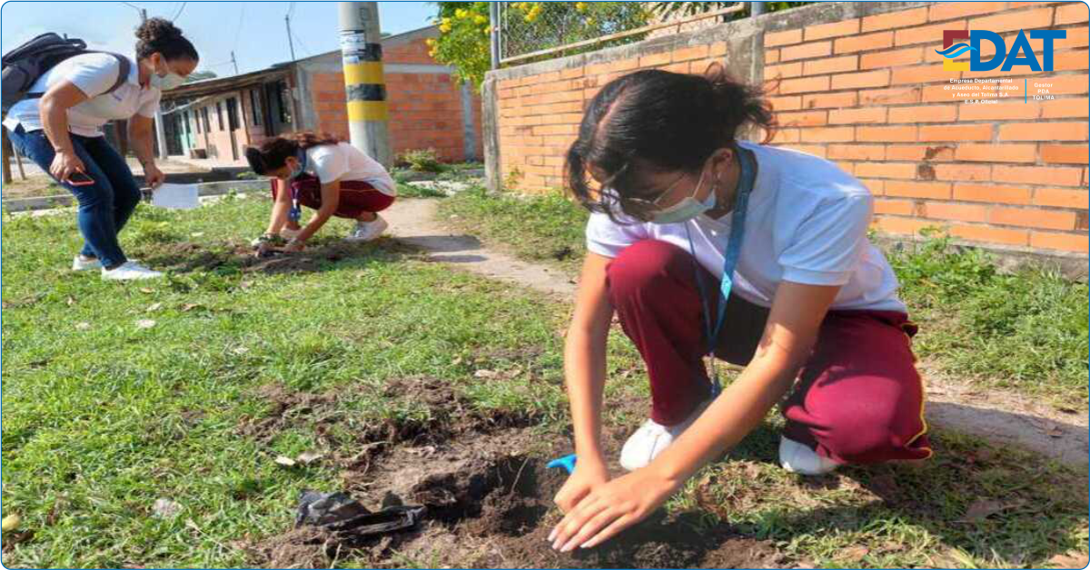 linea capacitacion