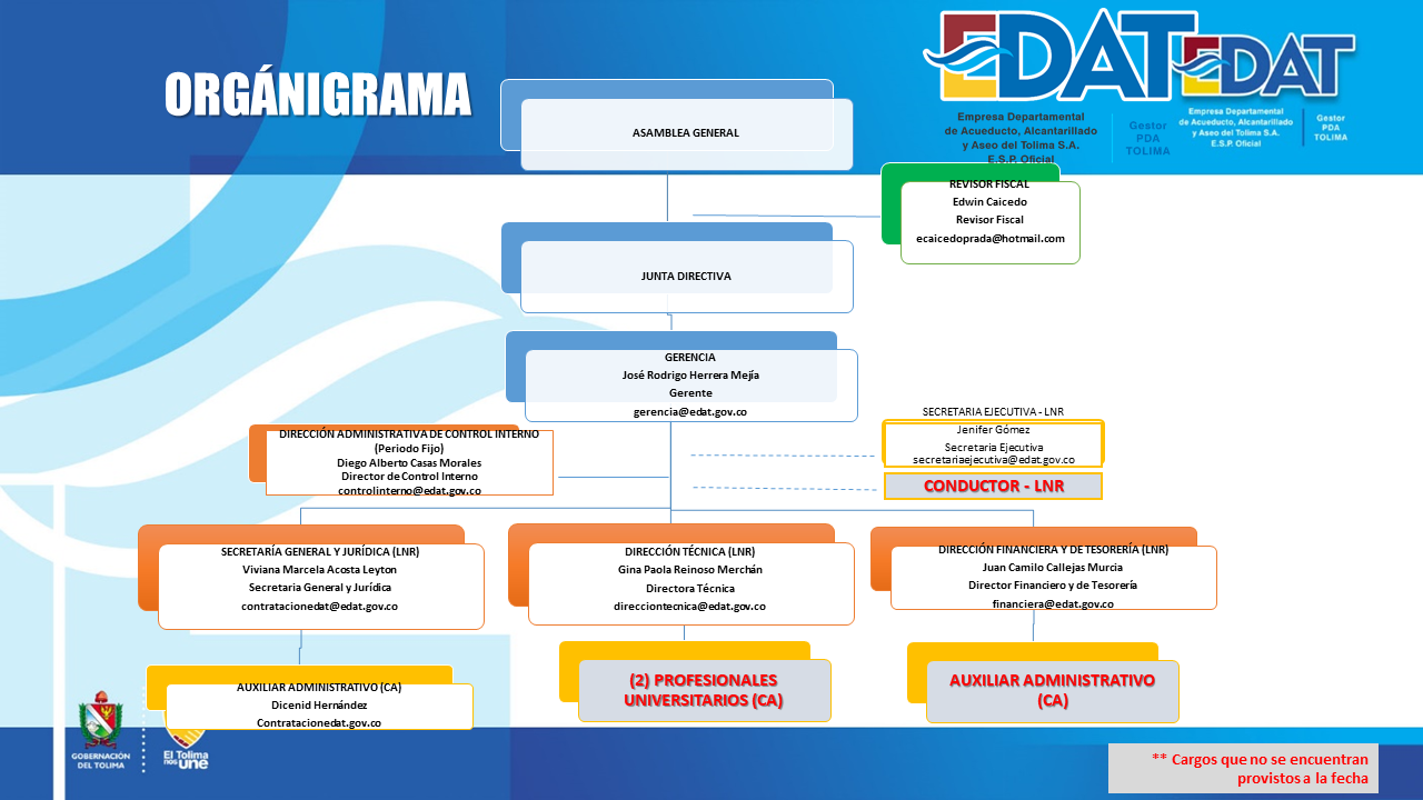 Organigrama 1